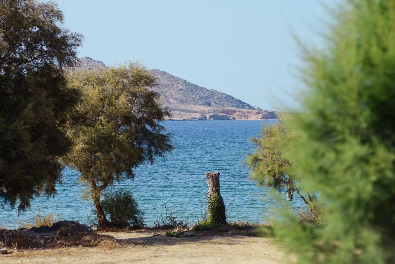 Seaside Paros - Naousa Εξωτερικό φωτογραφία